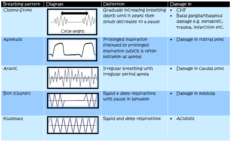 Respiratory Rate and Breathing patterns